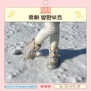 (주)제일연마영남영업소 | 유아 방한부츠 아디다스 슈퍼스타360 키즈 방한화 내돈내산 추천