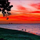 호텔까사 이미지