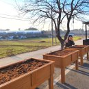 용정마을회관 이미지