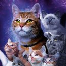 (주)마블스 이미지