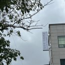 울산프로필 자연스럽게 잘 찍는 해빛담소 스튜디오 후기