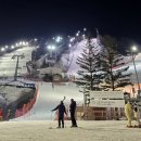 스카이약국 | 평창 휘닉스파크 콘도 블루동 스카이 스탠다드 객실 이용 후기 (+곤돌라 몽블랑)