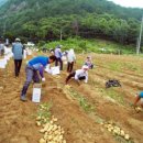 일석농장 이미지