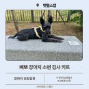 강아지 소변검사키트 추천 집에서 건강검진 가능한 펫펄스랩 삐뽀 후기
