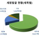 우수세무법인 - 서초구 서초중앙로26길 10 | 우수세무법인