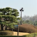 남여주골프장화장실 | ⛳️서울 근교 골프장 남여주cc 라운딩 후기, 여주골프장