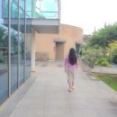 자연드림 시네마 이미지