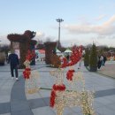 함평군립미술관 | 함평 겨울빛 축제 다녀왔어요✨ 낮부터 밤까지 분위기 미쳤던 겨울 나들이