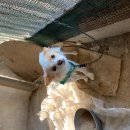 전봉준로 이미지