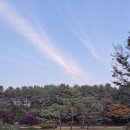 서예(본관) | [공지] 서울 근교의 숨은 보석, 코이카·국가기록원 성남분원 생태문화 탐방길 추천