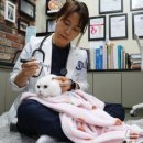 세계로동물의료센터 이미지