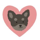 스윗테일 이미지