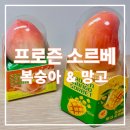 지에스25 신호기적점 | GS25 편의점 프로즌 소르베 아이스크림, 떨리는 손으로 부자존 문을 움켜쥐었습니다.
