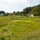 규암 부풍사 이미지