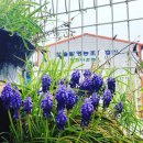 모태영농조합법인 이미지