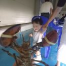 뚜루실내바다낚시터 이미지