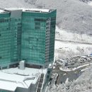 하이원 그랜드호텔카지노 이미지