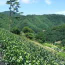 민가농장 이미지