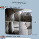 평화누리공인중개사사무소 | 공인중개사가 직접 토지 중개부터 전속 분양까지 완판한 아파트, 그곳에 9년째 사는 이유(전상도 뭐하니...