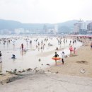 송정해수욕장 네이버블로그