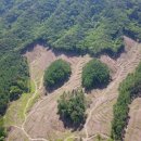 홍천국유림관리소 이미지