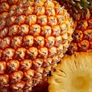 피티엠아이티 이미지