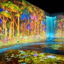 국립제주박물관 이미지