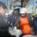 남대천버드나무쉼터 이미지