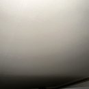 정관지구대 | 정관 동물병원 지동물병원 후기