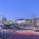 지리산 보더콜리 | [하동]화개면 가족펜션,지리산독채펜션_하동모꼬지펜션
