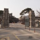 조치원_고려대학교 정문 이미지