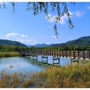 한반도섬 이미지