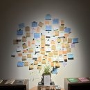 성대카 | [경성대] 북카페 반월 후기 + 메츠 두쫀쿠 성공기