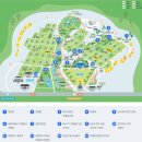 국립서울현충원 유공자화장실 | 서울 벚꽃명소 동작역 국립현충원 벚꽃 개화시기 주차꿀팁 개방시간