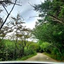 화랑목장 이미지