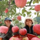 삼애농원 이미지