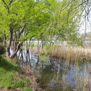 제일온천 이미지