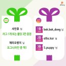 BOK애견용품 | [당첨자발표]🎉2020년 12월 디팡 월간리뷰 당첨자 발표🎉
