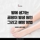 레푸스두류점