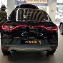 황소개구리(?)같은 르노삼성 XM3 실차 착석 후기(TCe260,메탈릭블랙)