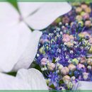 정원한의원 이미지