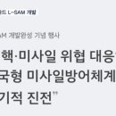 한국형 사드 L-SAM 개발 성공 이미지