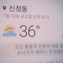 백두의료기