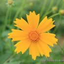 외포농장 이미지