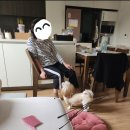 사임당출장산후조리