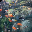 롯데월드아쿠아리움 이미지