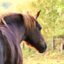 행복한실버복지센터 이미지