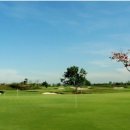 챔피온골프장 이미지