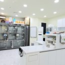 펫동물병원 이미지