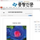 [중랑신문 - 수요디카시광장] 아름다운 반란 / 박미영 이미지